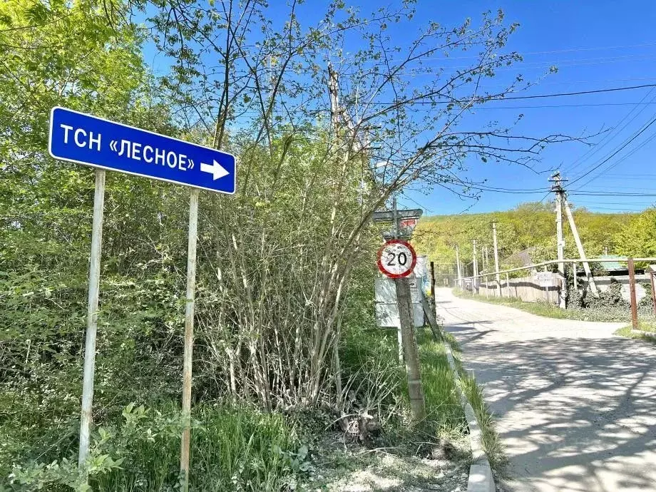 Участок в Крым, Симферопольский район, Трудовское с/пос, Лесной СНТ ... - Фото 2