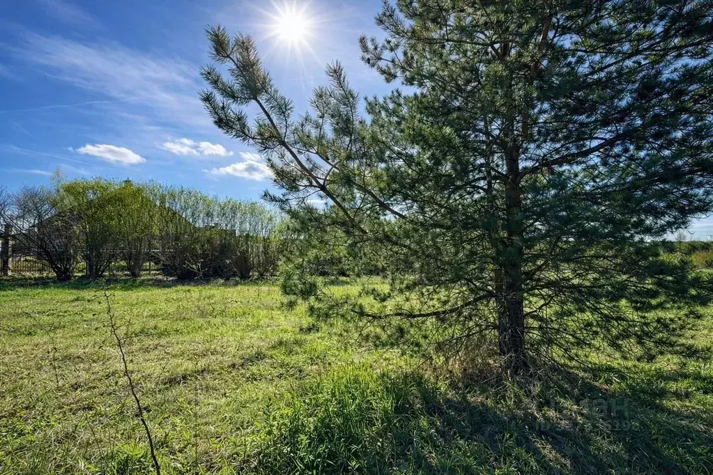 Участок в Московская область, Мытищи городской округ, д. Сухарево 7 ... - Фото 2
