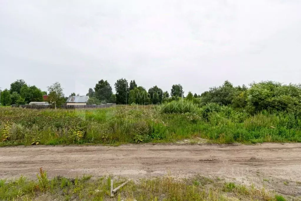 Участок в Тюменская область, Тюмень Поле Чудес-2 садовое товарищество, ... - Фото 1