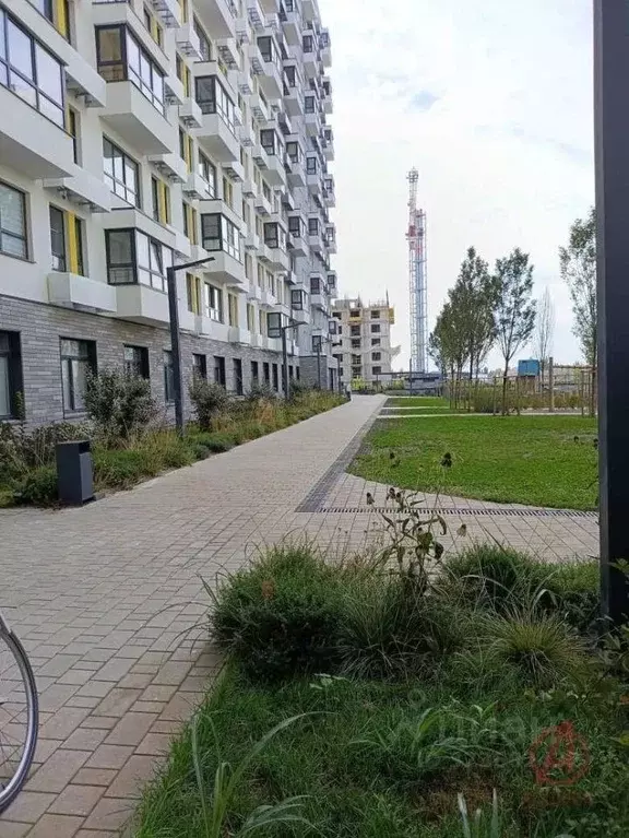 1-к кв. Краснодарский край, Новороссийск ул. Мурата Ахеджака, 5к1 ... - Фото 1