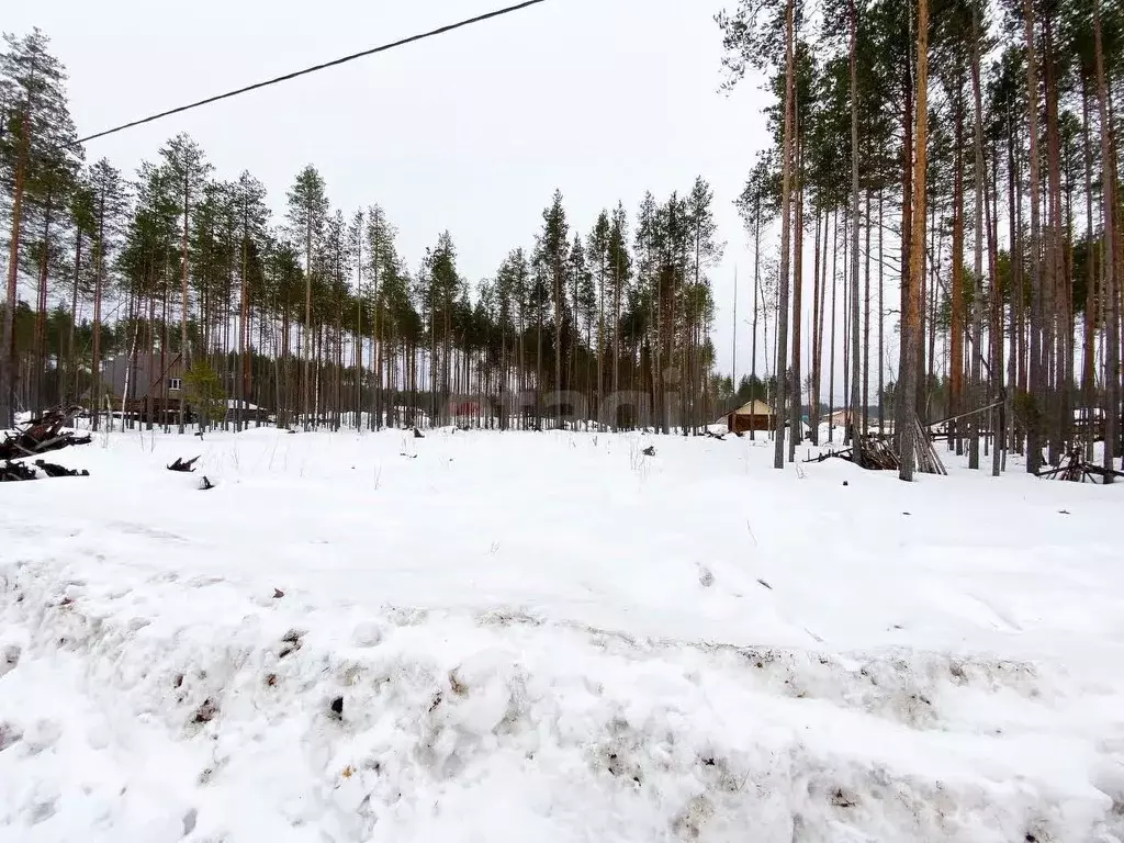 Участок в Коми, Сыктывкар городской округ, Краснозатонский пгт ул. ... - Фото 0