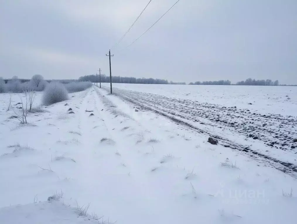 Участок в Тульская область, Тула городской округ, д. Ратово 39 (81.77 ... - Фото 1
