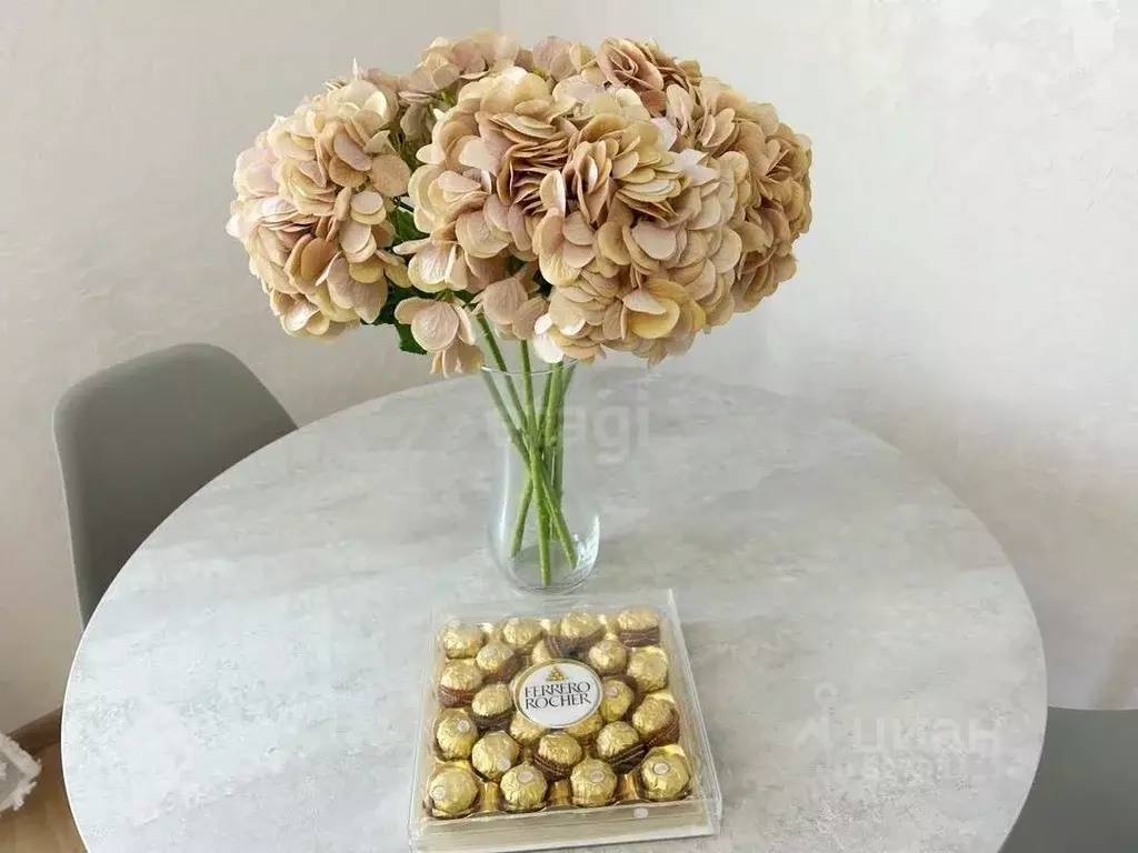 Студия Ленинградская область, Ломоносовский район, Аннинское городское ... - Фото 1