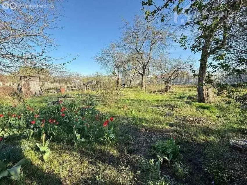 Участок в Воронеж, СНТ Кировец, 432 (6 м) - Фото 1