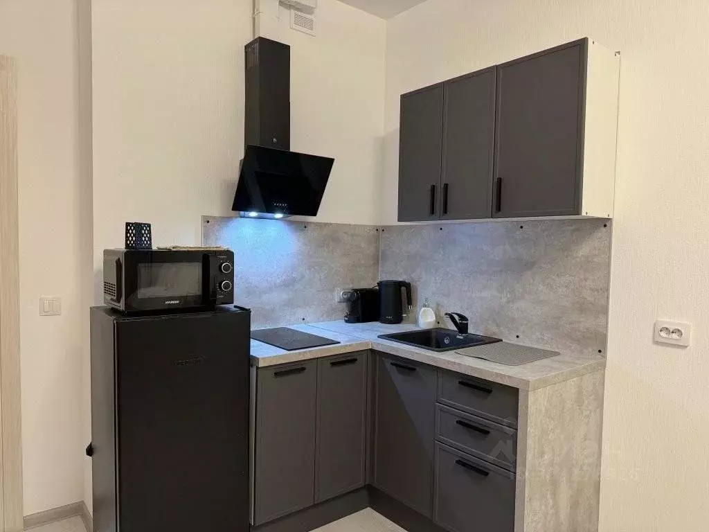 1-к кв. Санкт-Петербург ул. Ивана Куликова, 12 (26.0 м) - Фото 1
