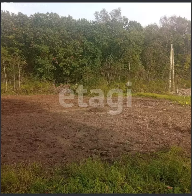 Участок в Амурская область, Благовещенский муниципальный округ, ... - Фото 1