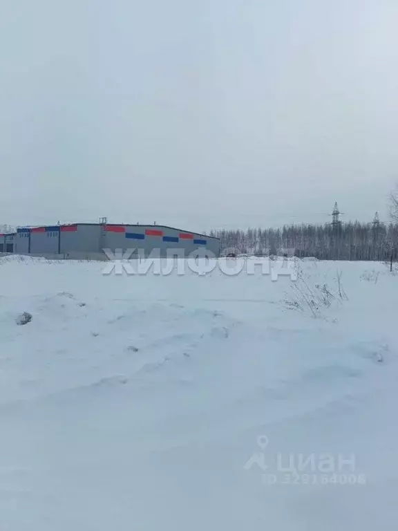 Участок в Новосибирская область, Новосибирский район, Станционный ... - Фото 2