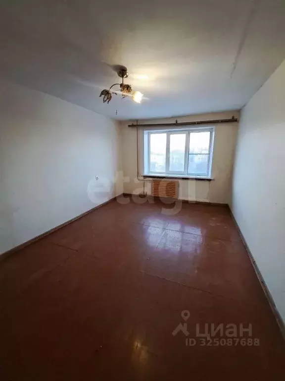 Комната Вологодская область, Шексна рп, Шексна Северная мкр ул. Труда, ... - Фото 1