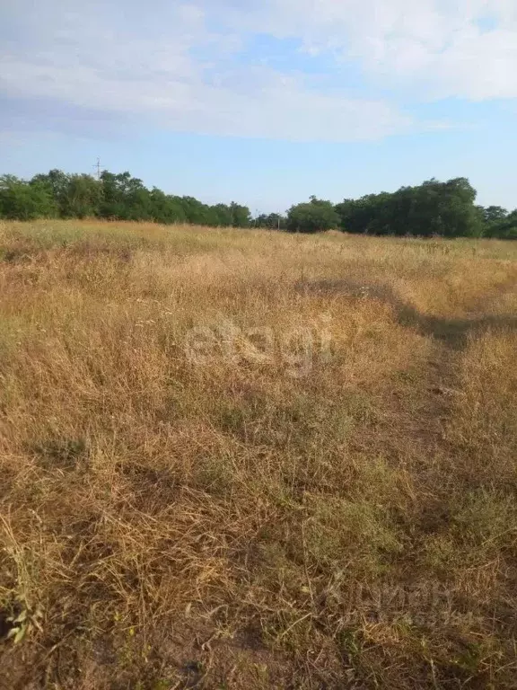 Участок в Крым, Раздольненский район, с. Славное ул. Ленина (10.0 ... - Фото 0