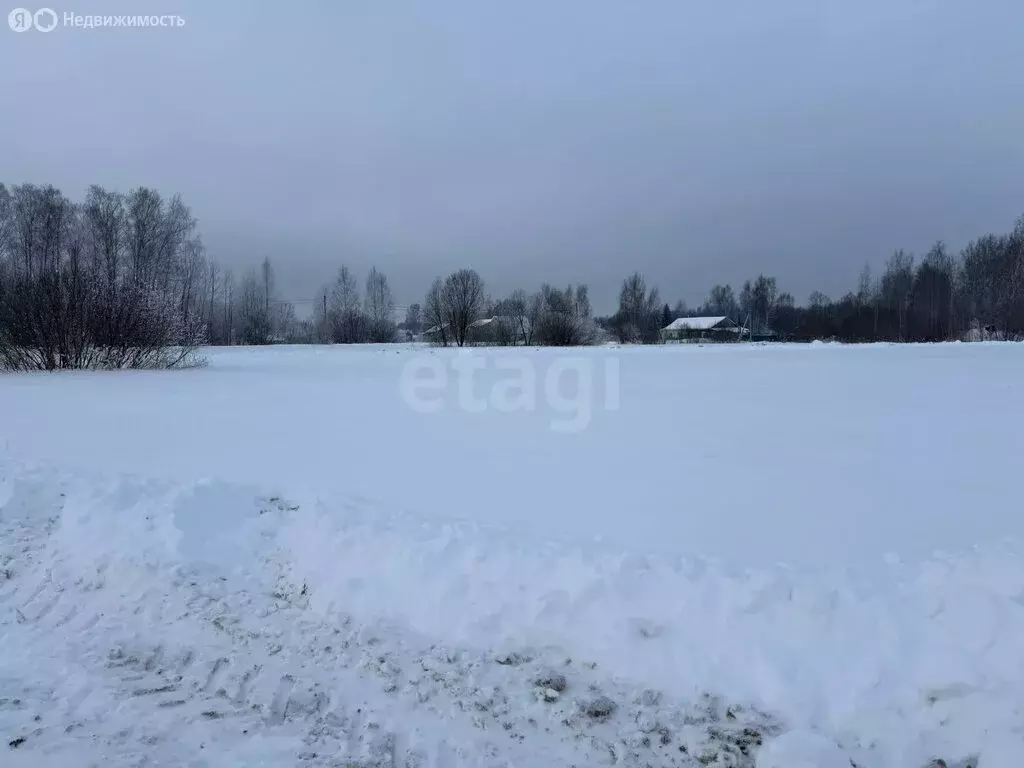 Участок в Красносельский район, Шолоховское сельское поселение, ... - Фото 2