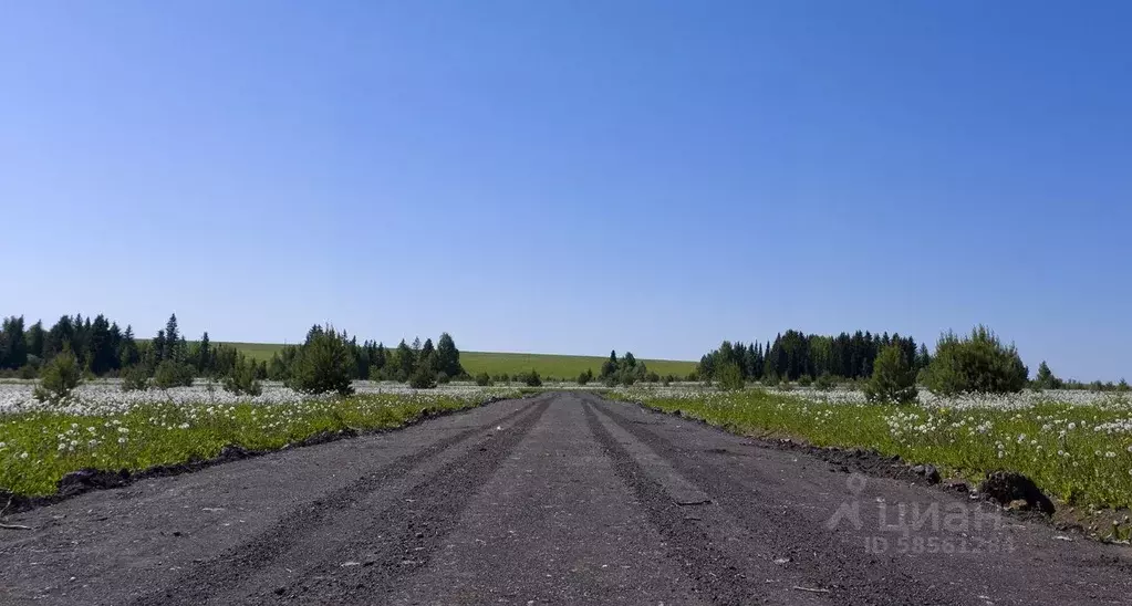 Участок в Удмуртия, Завьяловский район, д. Красный Кустарь  (10.14 ... - Фото 0