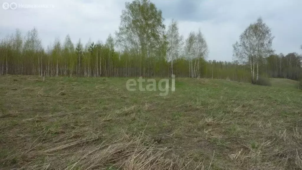 Участок в Новосибирский район, Берёзовский сельсовет, село Берёзовка ... - Фото 1