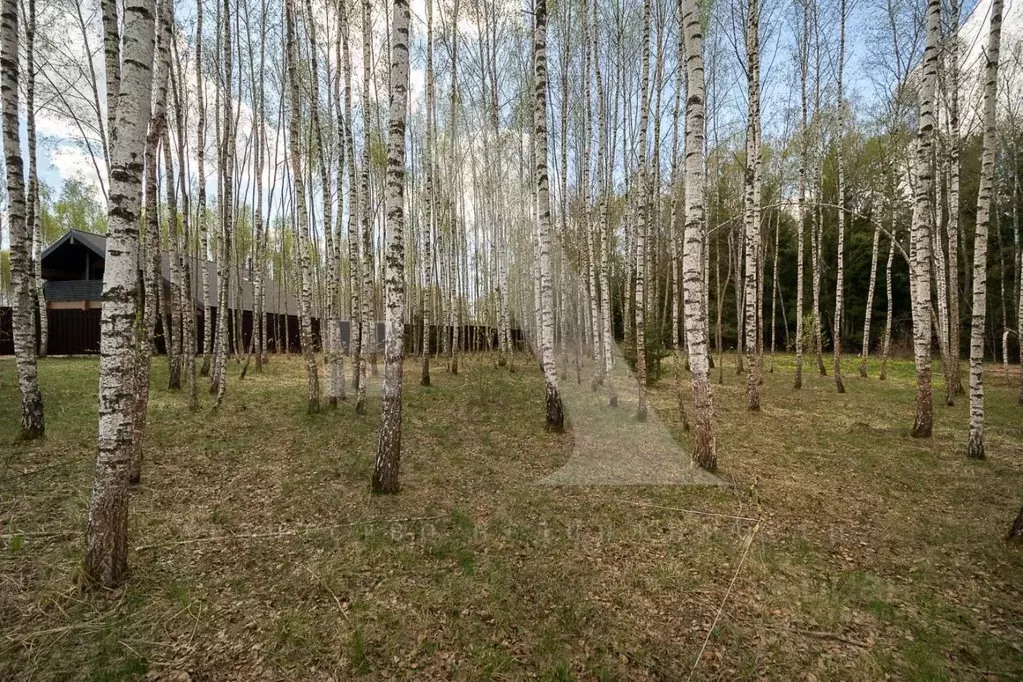 Участок в Московская область, Ступино городской округ, с. Мышенское, ... - Фото 0