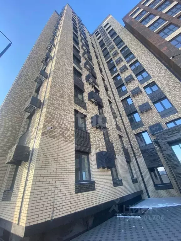 Студия Амурская область, Благовещенский район, с. Чигири ул. ... - Фото 1