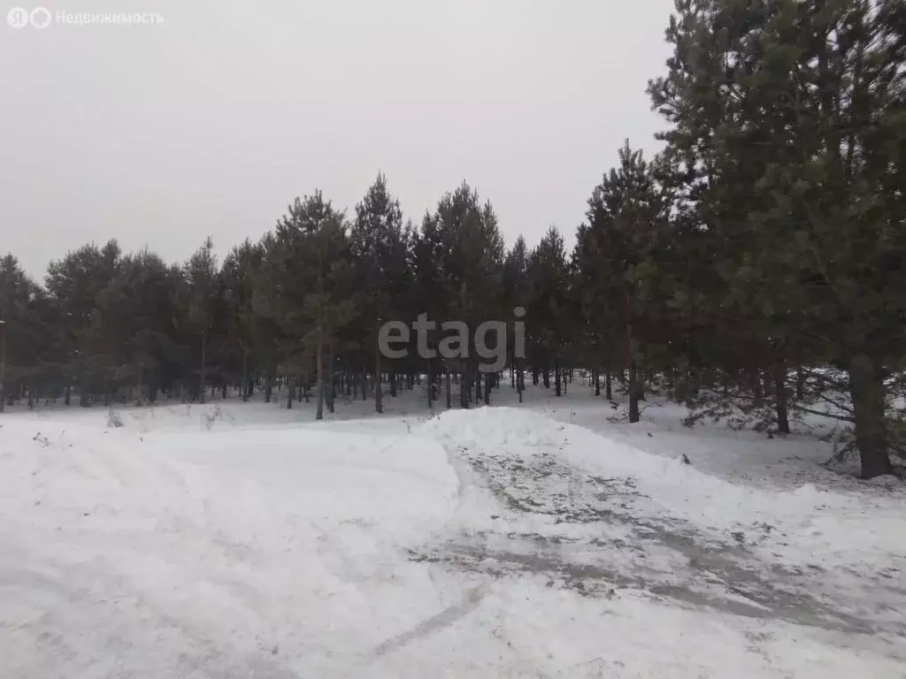 Участок в Алапаевск, Янтарная улица (17 м) - Фото 1
