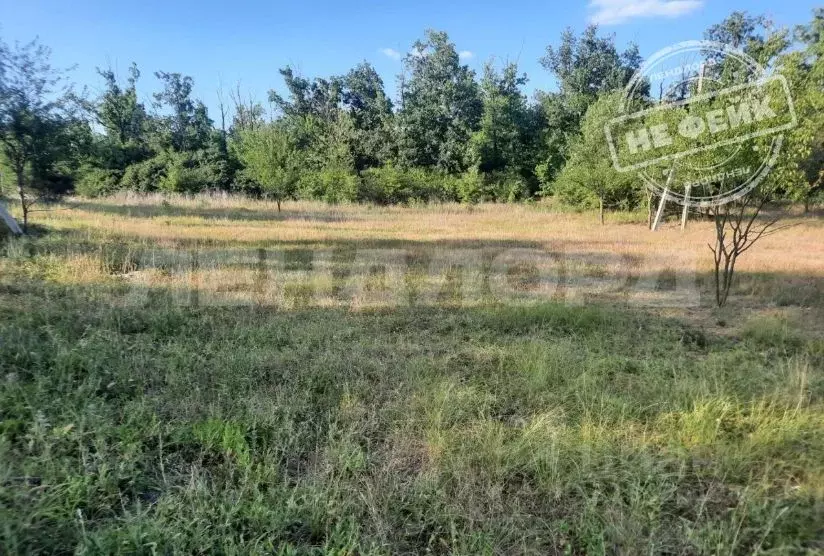 Участок в Ростовская область, Новочеркасск Коммунальщик СТ,  (5.9 ... - Фото 0