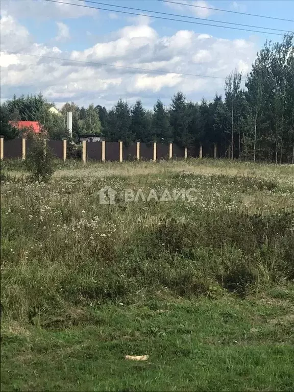 Участок в Владимирская область, Александровский район, Каринское ... - Фото 0