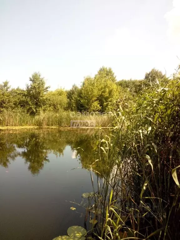 Дом в Липецкая область, Липецк ул. Бардина, 48А (82 м) - Фото 2