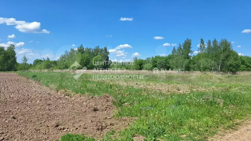 Участок 30 сот. (личное подсобное хозяйство (лпх)) - Фото 0
