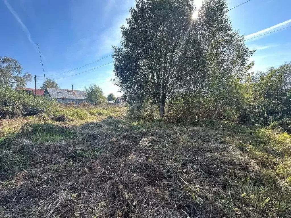 Участок в Нижегородская область, Дальнеконстантиновский муниципальный ... - Фото 0