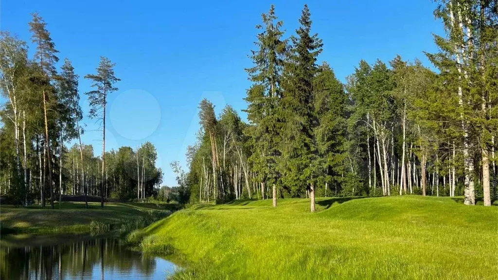 Участок 25,5 сот. (СНТ, ДНП) - Фото 1