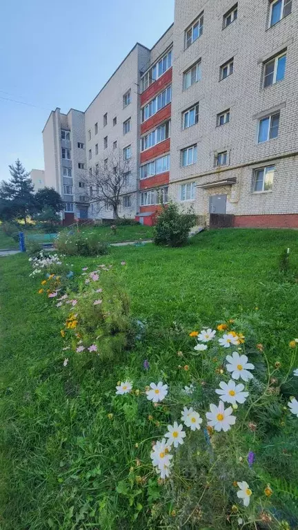 1-к кв. Рязанская область, Рыбное Большая ул., 16 (33.5 м) - Фото 1