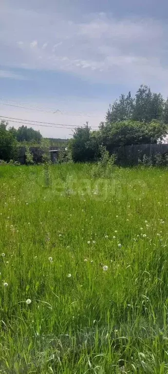 Участок 6 сот. (СНТ, ДНП) - Фото 1