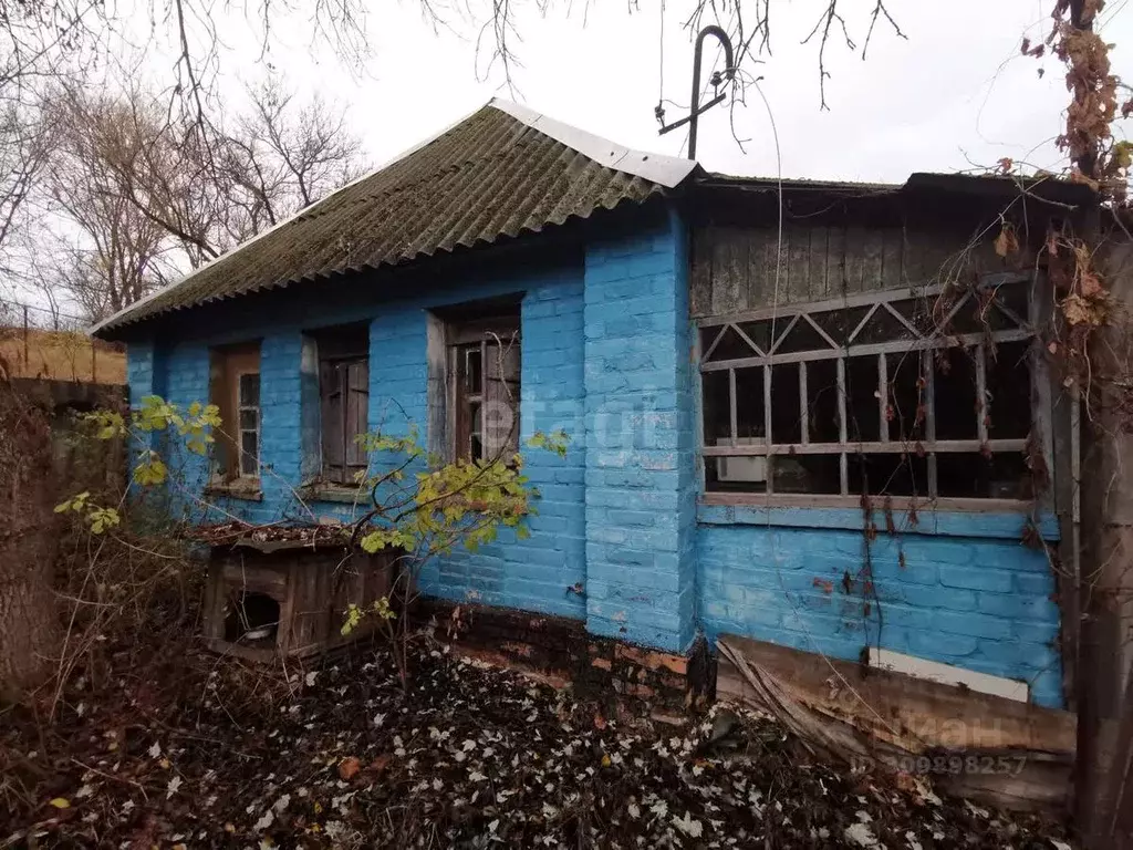 Дом в Белгородская область, Валуйский городской округ, с. Казинка ул. ... - Фото 0