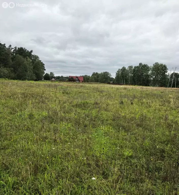 Участок в Московская область, городской округ Черноголовка, деревня ... - Фото 1