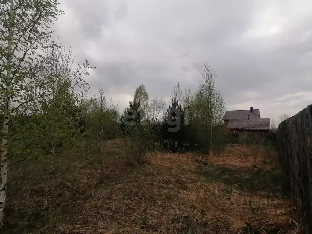 Участок в Нижегородская область, Выкса городской округ, Шиморское рп ... - Фото 1