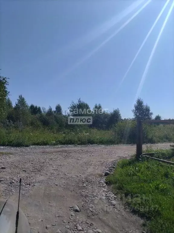 Участок в Иркутская область, Иркутский муниципальный округ, Иркут ... - Фото 2