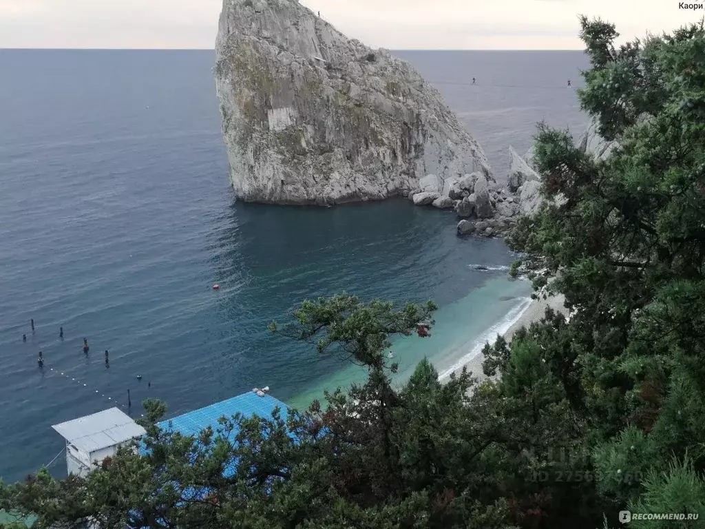 Участок в Крым, Ялта городской округ, Голубой Залив пгт  (24.0 сот.) - Фото 1