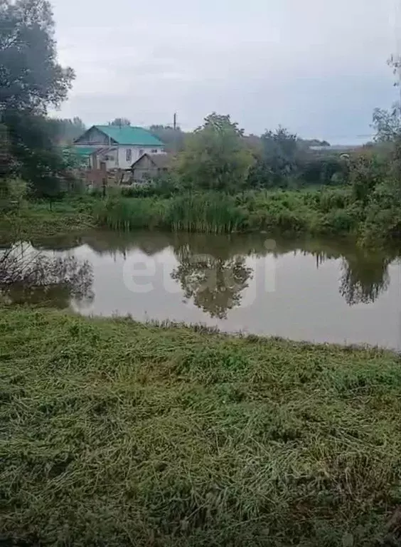 Участок в Башкортостан, Кармаскалинский район, Кабаковский сельсовет, ... - Фото 1