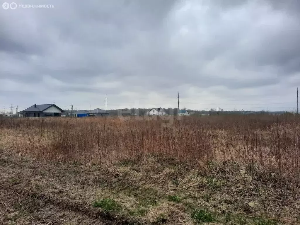 Участок в Зеленоградск, Мраморная улица (10 м) - Фото 1