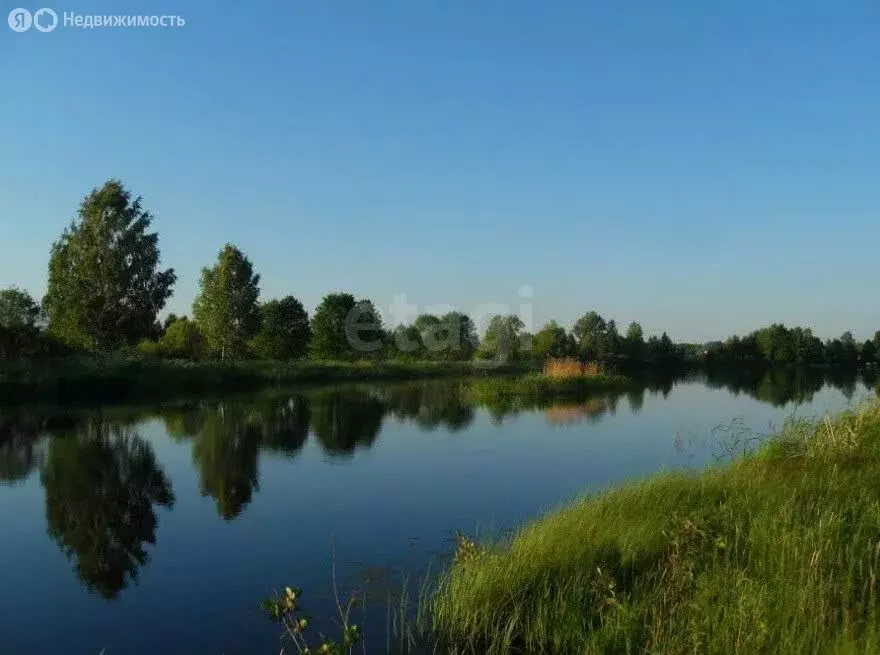 Участок в Нижегородская область, Городецкий муниципальный округ, ... - Фото 1