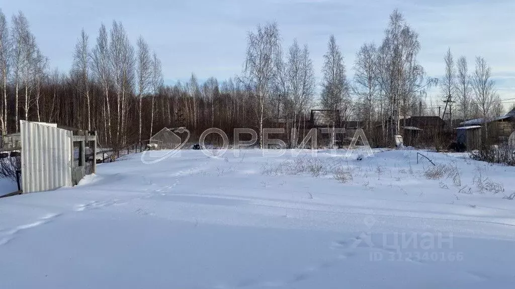 Участок в Тюменская область, Нижнетавдинский район, Сочинские СНТ 8-я ... - Фото 1