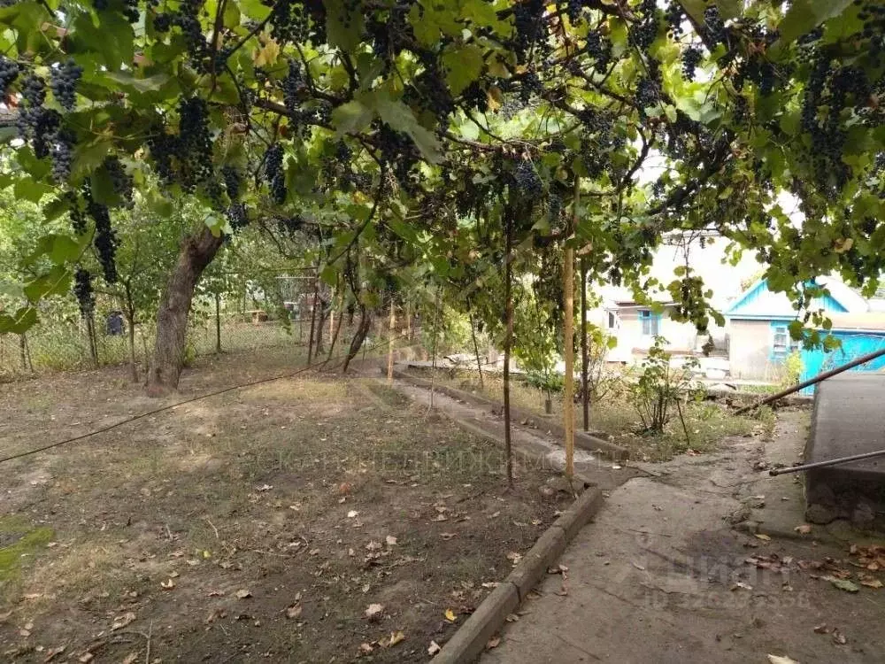 Дом в Ставропольский край, Пятигорск городской округ, пос. ... - Фото 1