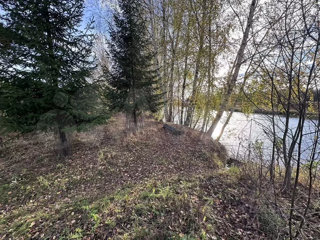 Участок в Костромская область, Красносельский район, Шолоховское ... - Фото 1