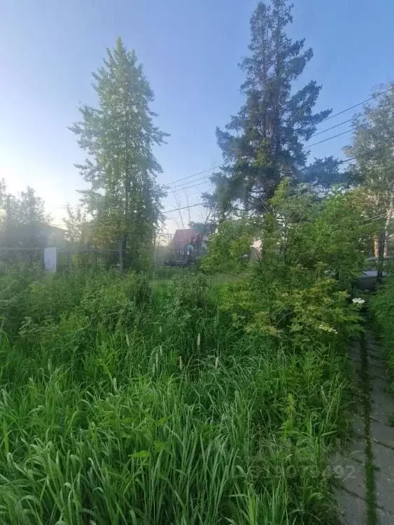 Дом в Иркутская область, Иркутск ДОСААФ СНТ, 39 (126 м) - Фото 1