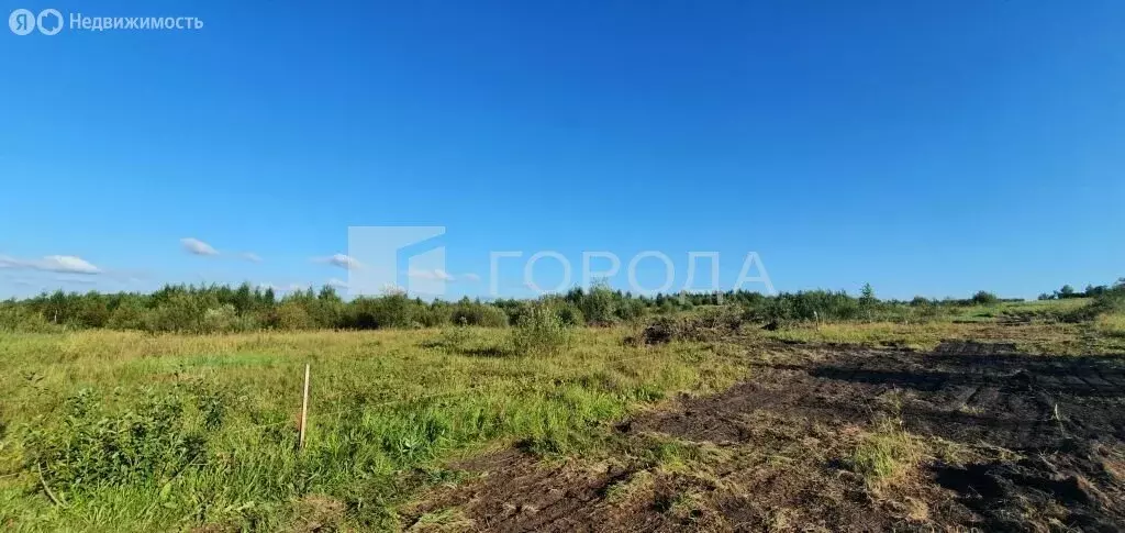 Участок в село Корнилово, улица Жирова, 103 (8.07 м) - Фото 1