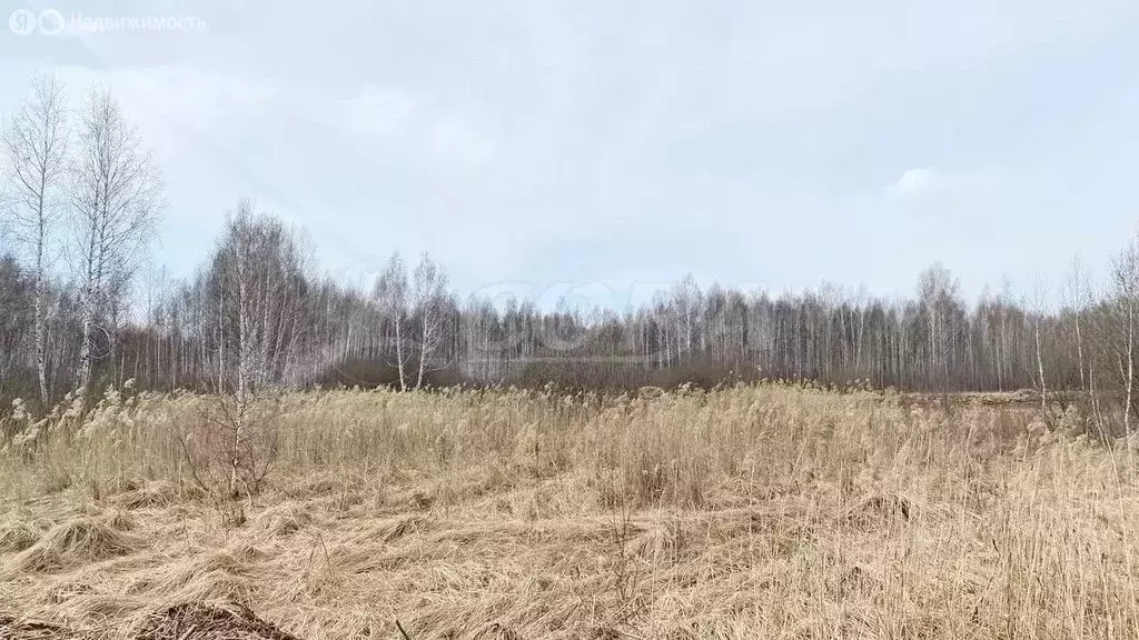 Участок в Тюменский район, посёлок городского типа Богандинский (16.5 ... - Фото 1