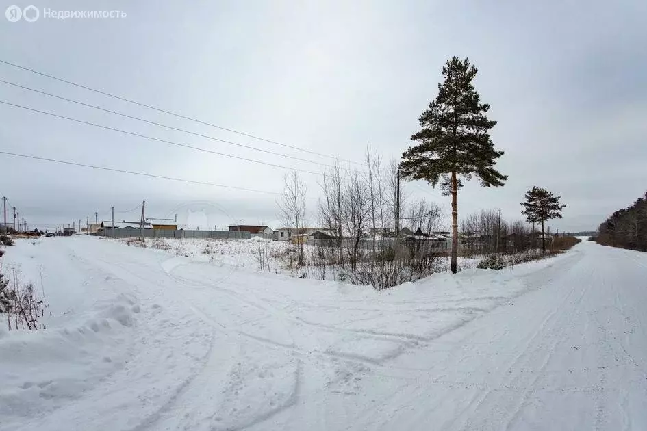 Участок в Тюменский район, село Гусево (9.8 м) - Фото 0