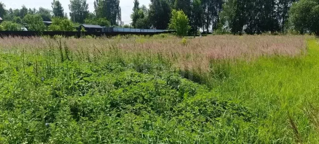 Участок в село Хотылёво, Вознесенская улица (14.56 м) - Фото 2