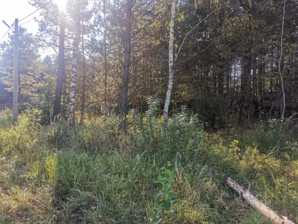 Участок в Московская область, Орехово-Зуевский городской округ, д. ... - Фото 0