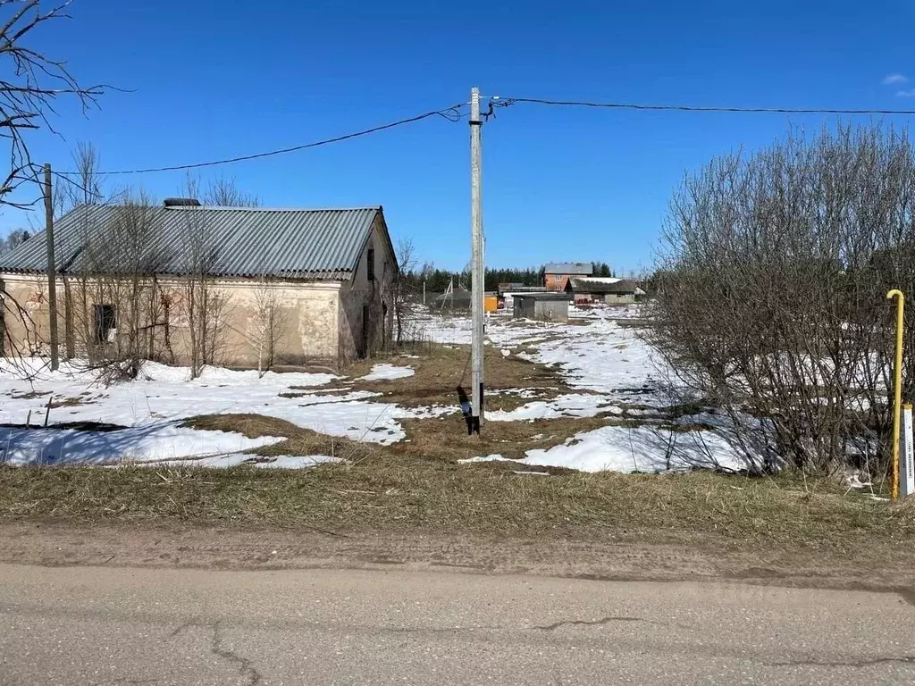 Торговая площадь в Московская область, Можайский муниципальный округ, ... - Фото 2