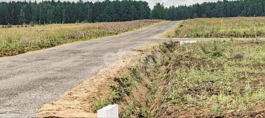Участок в Тюменская область, Тюменский муниципальный округ, с. Кулига, ... - Фото 1