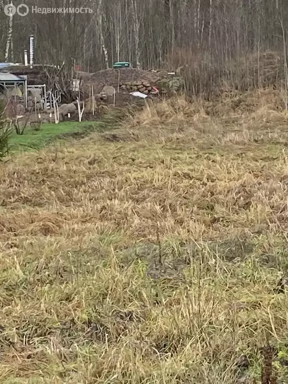 Участок в Выборгский район, Гончаровское сельское поселение, посёлок ... - Фото 2