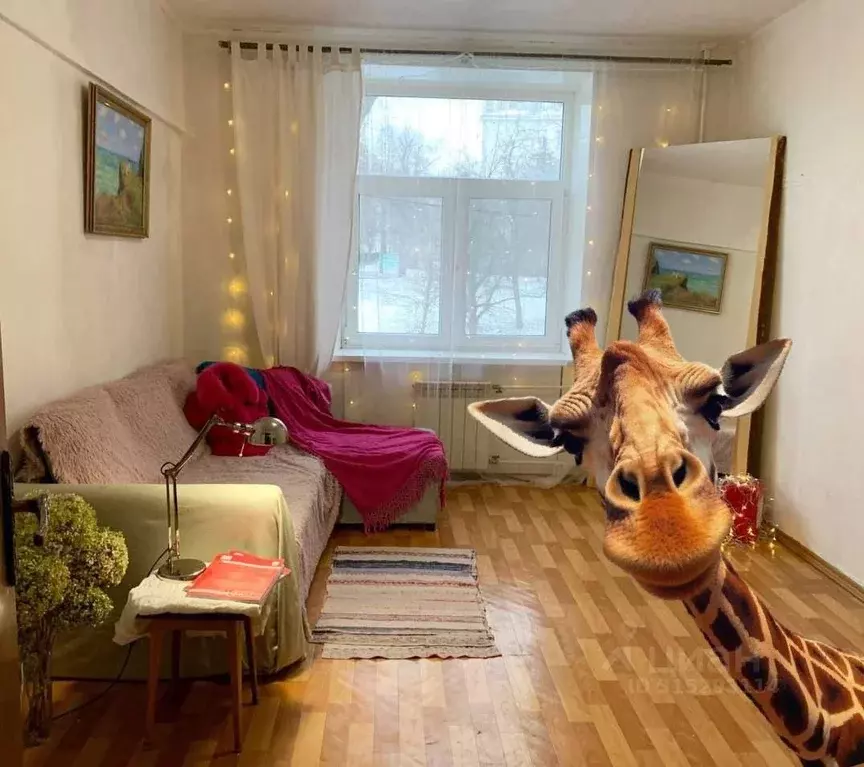 Комната Москва 3-й Новомихалковский проезд, 4 (16.0 м) - Фото 1