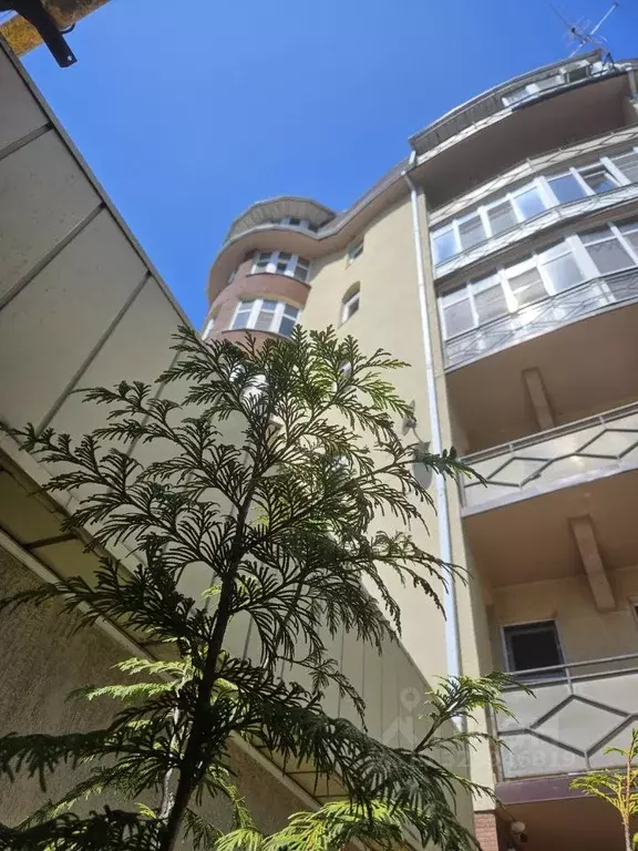 1-к кв. Краснодарский край, Сочи городской округ, Дагомыс пгт ул. ... - Фото 1