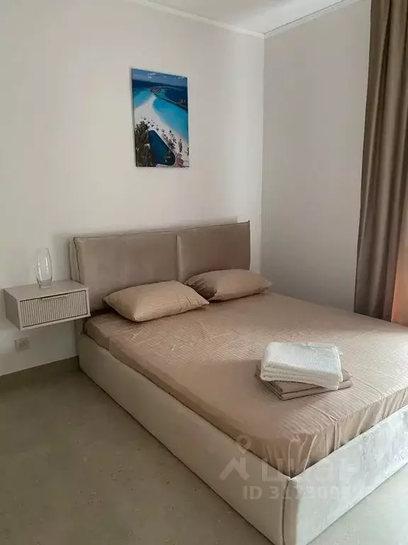 Студия Санкт-Петербург Московский просп., 71к3 (25.0 м) - Фото 1